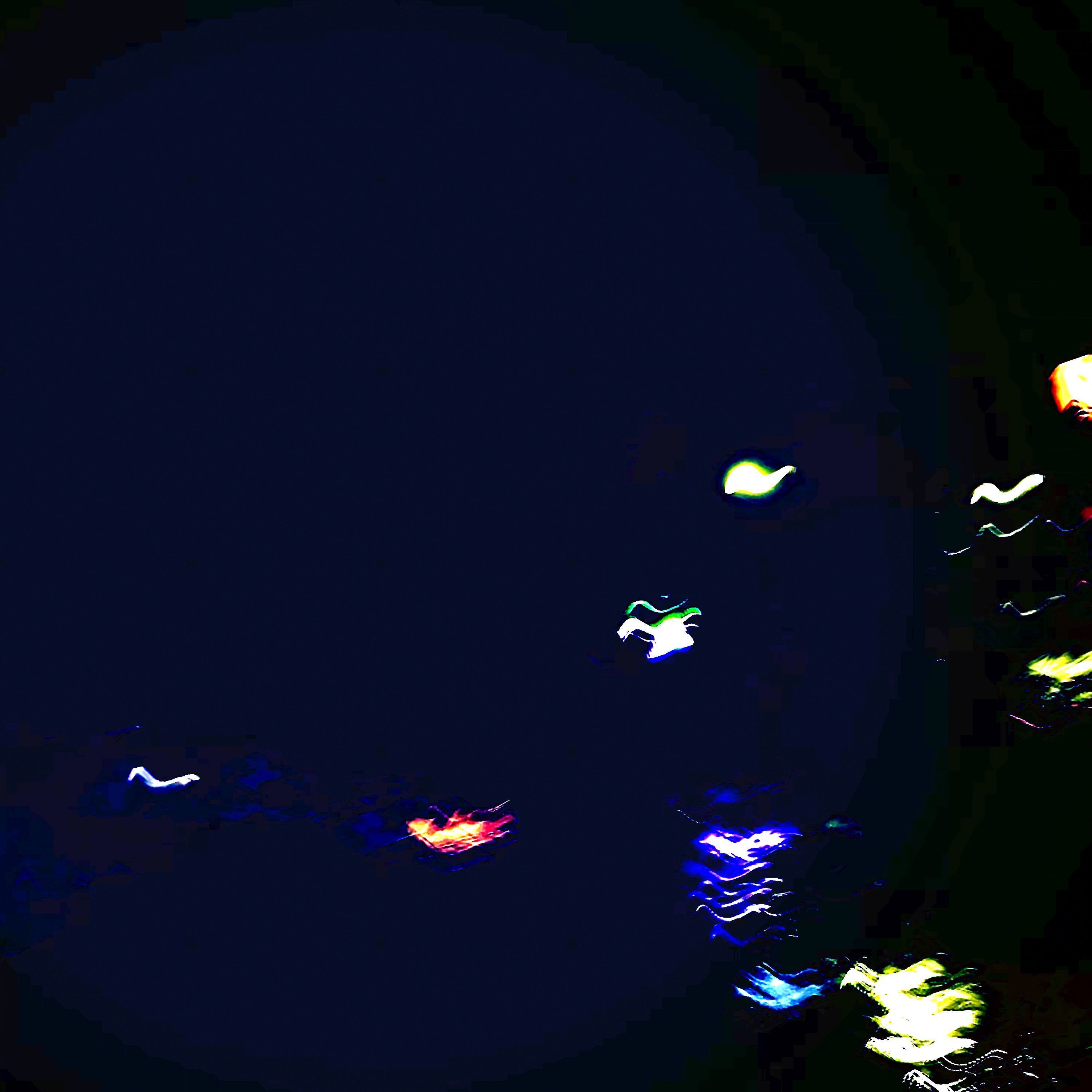 夜間飛行 | CYNHN Official Web Site